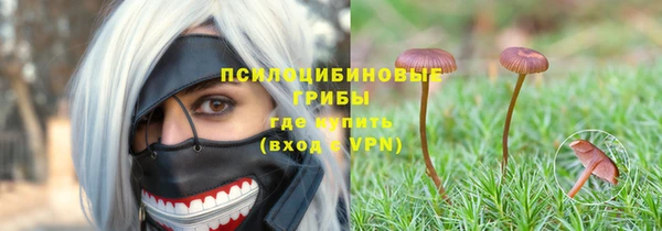соль ск Нея
