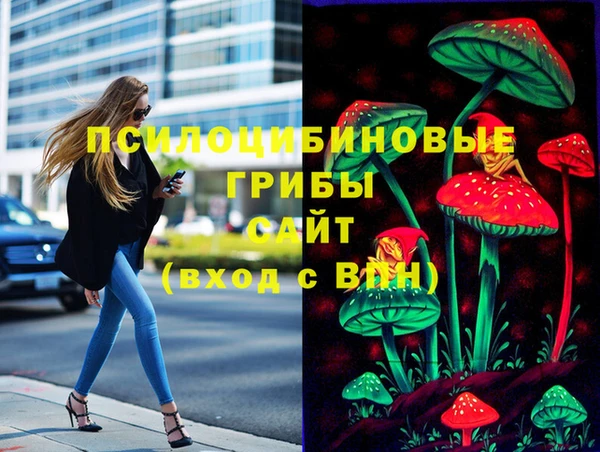 СК Нефтегорск