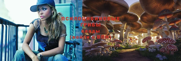 Альфа ПВП Нефтекумск