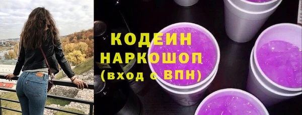 соль ск Нея