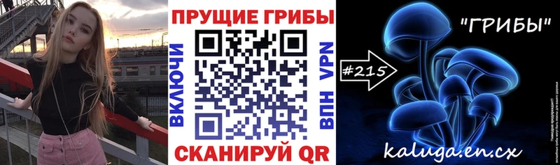Купить  Короча  Галлюциногенные грибы Cubensis 